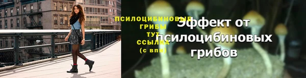 2c-b Алексеевка