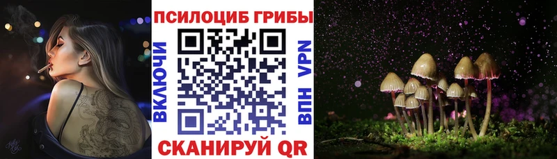 что такое   Сасово  kraken tor  Галлюциногенные грибы GOLDEN TEACHER 